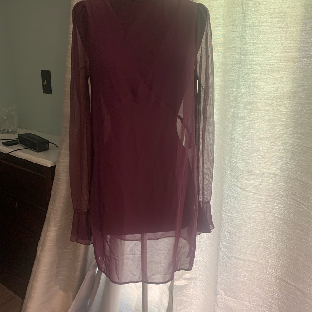 Zara Burgundy See-Through Dress